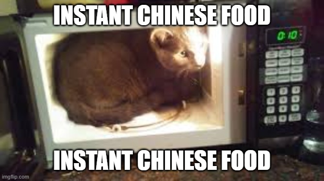 Cat in microwave | INSTANT CHINESE FOOD INSTANT CHINESE FOOD | image tagged in cat in microwave | made w/ Imgflip meme maker