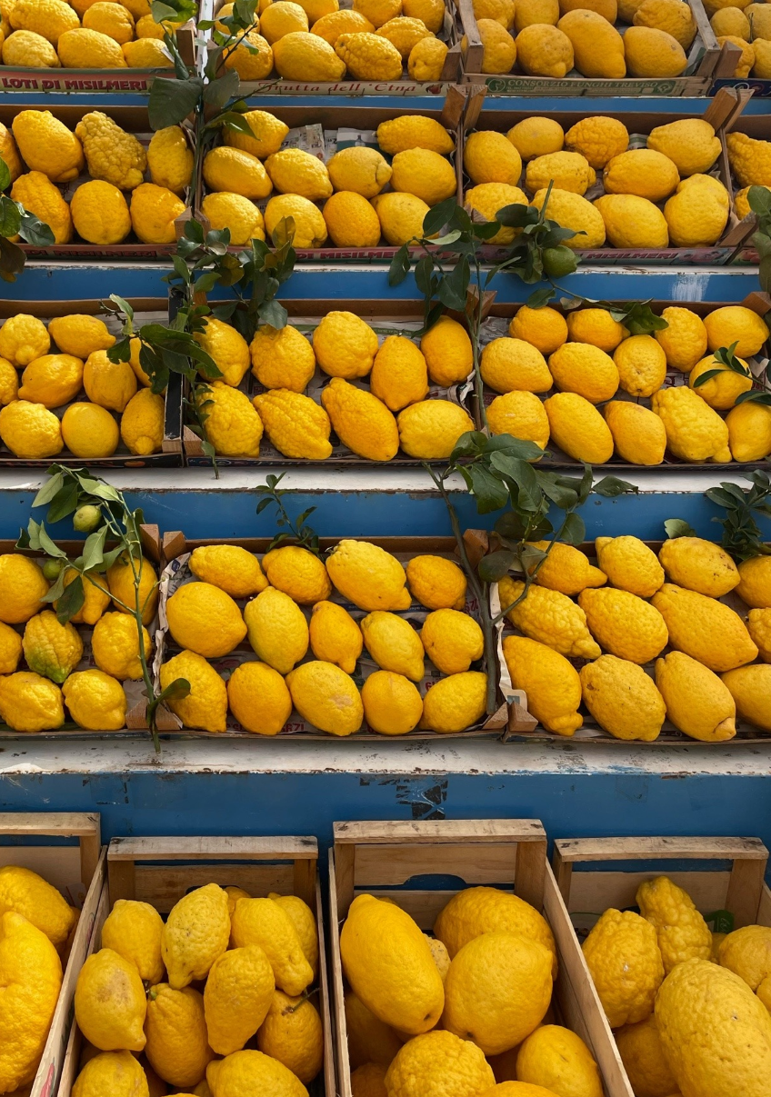 Lemons. Blank Meme Template