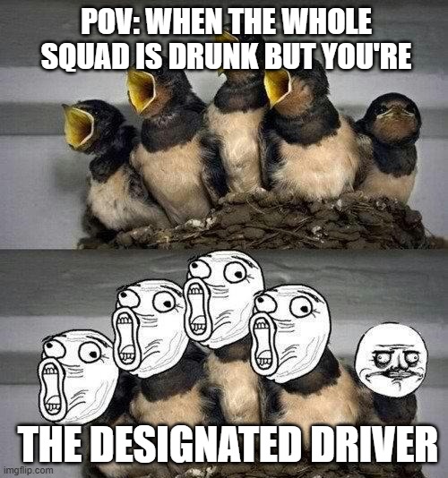 designated driver | POV: WHEN THE WHOLE SQUAD IS DRUNK BUT YOU'RE; THE DESIGNATED DRIVER | image tagged in memes | made w/ Imgflip meme maker