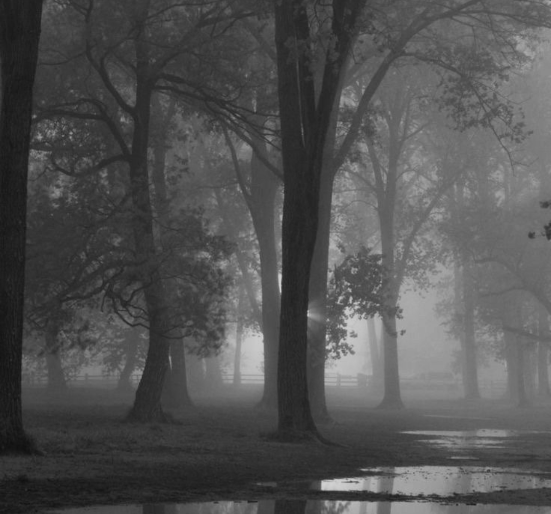 Clearing. Blank Meme Template