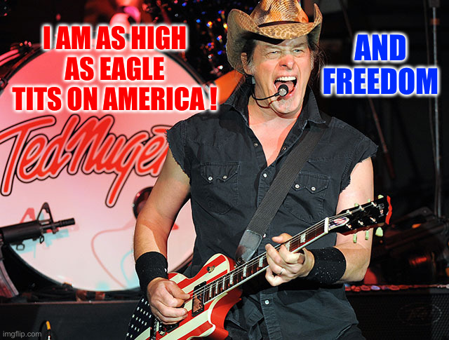 And That Is No Joke ! | AND FREEDOM I AM AS HIGH AS EAGLE TITS ON AMERICA ! | image tagged in ted nugent,political meme,politics,funny memes,funny | made w/ Imgflip meme maker