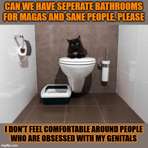 This #lolcat thinks the magas obsession with genitals is a bit creepy | CAN WE HAVE SEPERATE BATHROOMS
FOR MAGAS AND SANE PEOPLE, PLEASE; I DON'T FEEL COMFORTABLE AROUND PEOPLE
WHO ARE OBSESSED WITH MY GENITALS | image tagged in genitals,bathrooms,transphobic,maga,lolcat | made w/ Imgflip meme maker