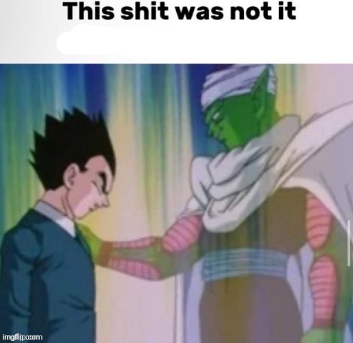 This shit was not it never cook again | image tagged in this shit was not it never cook again | made w/ Imgflip meme maker