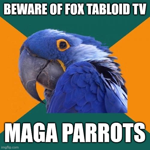 Paranoid Parrot Meme | BEWARE OF FOX TABLOID TV MAGA PARROTS | image tagged in memes,paranoid parrot | made w/ Imgflip meme maker