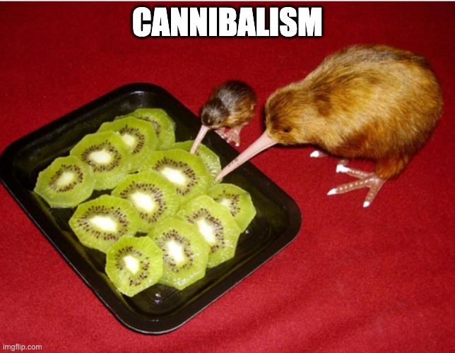 CANNIBALISM | image tagged in kiwi cannibalism | made w/ Imgflip meme maker