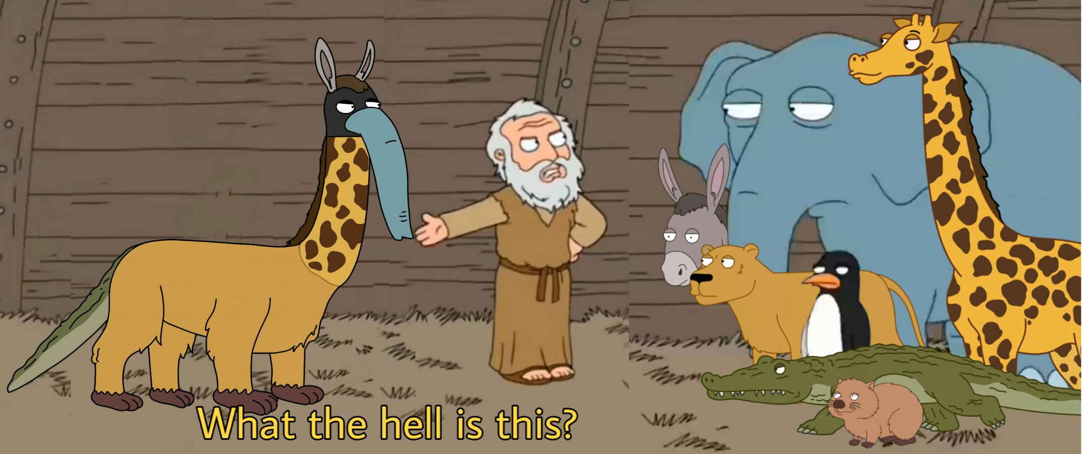 What the hell is this? Blank Meme Template