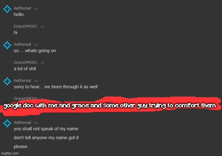 reasonable concern btw heres proof | google doc with me and grace and some other guy trying to comfort them | made w/ Imgflip meme maker