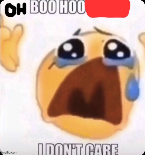 boo hoo I don't care | image tagged in boo hoo i don't care | made w/ Imgflip meme maker