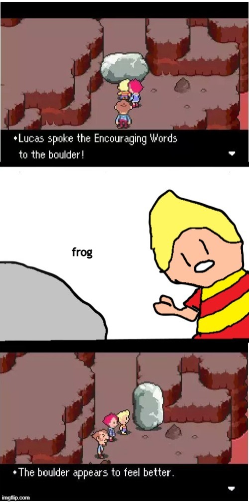 Lucas spoke encouraging words | frog | image tagged in lucas spoke encouraging words | made w/ Imgflip meme maker