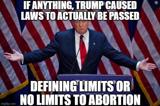 Donald Trump | IF ANYTHING, TRUMP CAUSED LAWS TO ACTUALLY BE PASSED DEFINING LIMITS OR NO LIMITS TO ABORTION | image tagged in donald trump | made w/ Imgflip meme maker