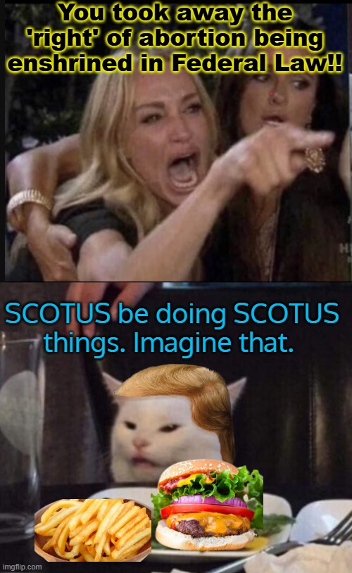 You took away the 'right' of abortion being enshrined in Federal Law!! SCOTUS be doing SCOTUS things. Imagine that. | image tagged in karen screaming,salad cat | made w/ Imgflip meme maker