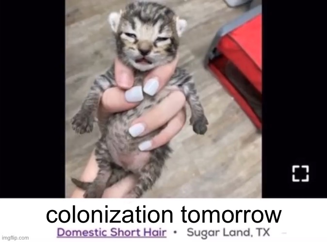 chair editable | colonization tomorrow | image tagged in chair editable | made w/ Imgflip meme maker