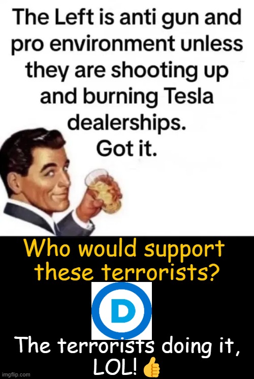 So Simple, Even Children See It! | Who would support 
these terrorists? The terrorists doing it, 
LOL!👍 | image tagged in tesla,terrorism,enemies,democrats,you have become the very thing you swore to destroy,political humor | made w/ Imgflip meme maker