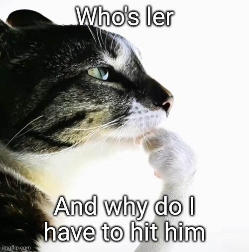 Who's ler; And why do I have to hit him | made w/ Imgflip meme maker