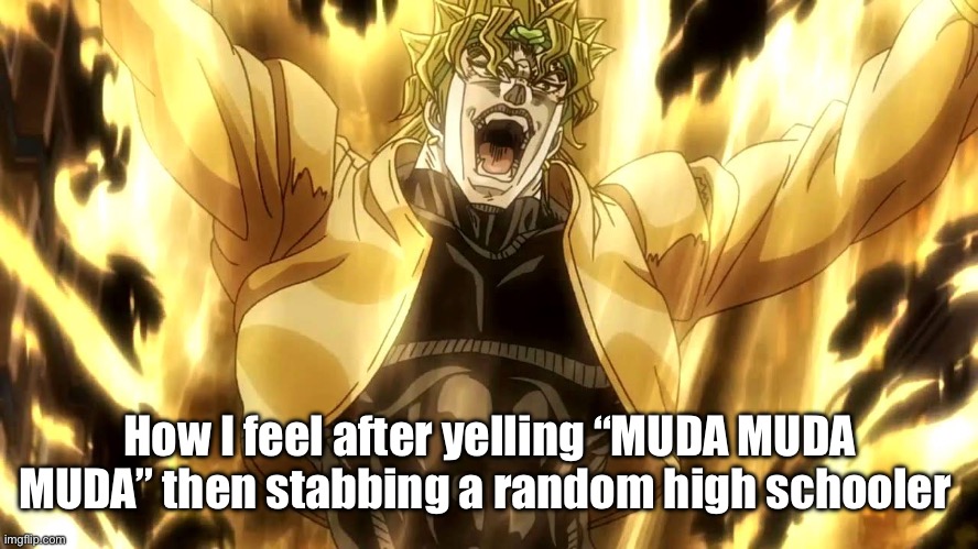 Za Warudo | How I feel after yelling “MUDA MUDA MUDA” then stabbing a random high schooler | image tagged in za warudo | made w/ Imgflip meme maker