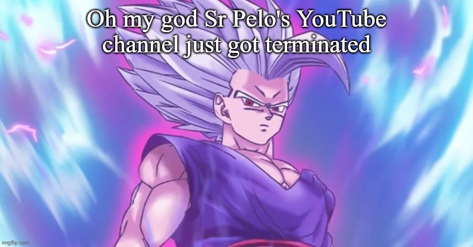 Beasthan | Oh my god Sr Pelo's YouTube channel just got terminated | image tagged in beasthan | made w/ Imgflip meme maker