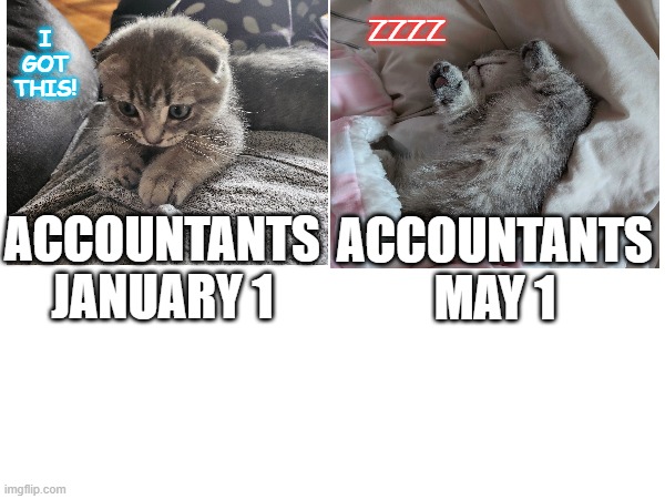 Tax Season | I GOT THIS! ZZZZ; ACCOUNTANTS MAY 1; ACCOUNTANTS JANUARY 1 | image tagged in taxes | made w/ Imgflip meme maker