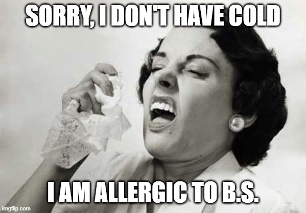 no bs zone | SORRY, I DON'T HAVE COLD; I AM ALLERGIC TO B.S. | image tagged in sneezing | made w/ Imgflip meme maker