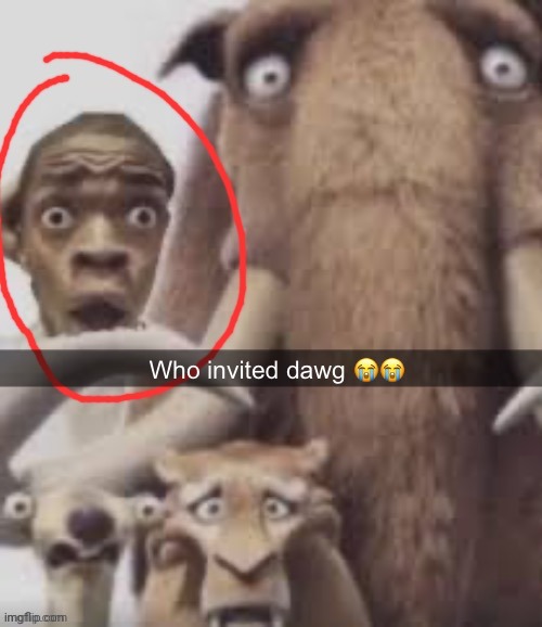 Who invited dawg | image tagged in who invited dawg | made w/ Imgflip meme maker