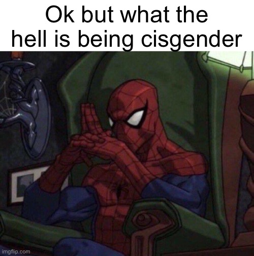 new mental disorder just dropped??? | Ok but what the hell is being cisgender | image tagged in spider-man think,msmg | made w/ Imgflip meme maker