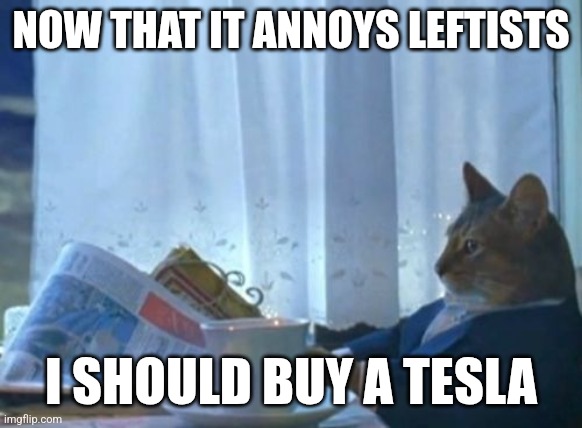 If I ever do decide to buy an EV... | NOW THAT IT ANNOYS LEFTISTS; I SHOULD BUY A TESLA | image tagged in memes,i should buy a boat cat | made w/ Imgflip meme maker