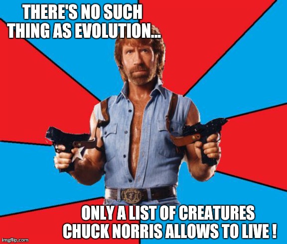 Chuck Norris With Guns | THERE'S NO SUCH THING AS EVOLUTION... ONLY A LIST OF CREATURES CHUCK NORRIS ALLOWS TO LIVE ! | image tagged in chuck norris | made w/ Imgflip meme maker