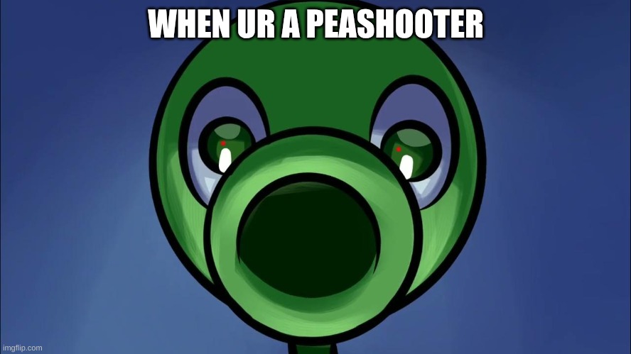 Peashooter Stare | WHEN UR A PEASHOOTER | image tagged in peashooter stare | made w/ Imgflip meme maker