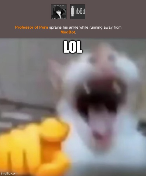 LOL | image tagged in cat pointing and laughing | made w/ Imgflip meme maker
