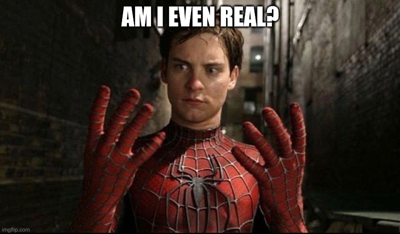 Spiderman Hands Meme | AM I EVEN REAL? | image tagged in spiderman hands meme | made w/ Imgflip meme maker
