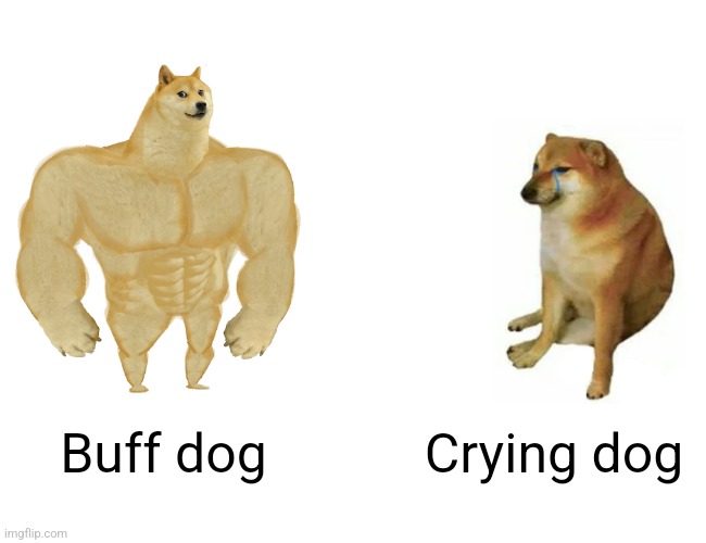 Buff Doge vs. Cheems | Buff dog; Crying dog | image tagged in memes,buff doge vs cheems | made w/ Imgflip meme maker