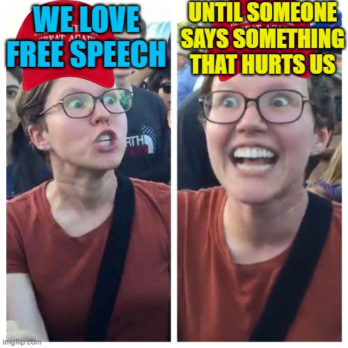 Banning books is wild | UNTIL SOMEONE SAYS SOMETHING THAT HURTS US; WE LOVE FREE SPEECH | image tagged in social justice warrior hypocrisy,pathetic don | made w/ Imgflip meme maker