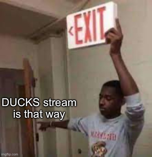 the door is that way exit meme | DUCKS stream is that way | image tagged in the door is that way exit meme | made w/ Imgflip meme maker