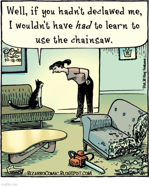 He’s going to get his destruction in… one way or another… | image tagged in cats,comics | made w/ Imgflip meme maker