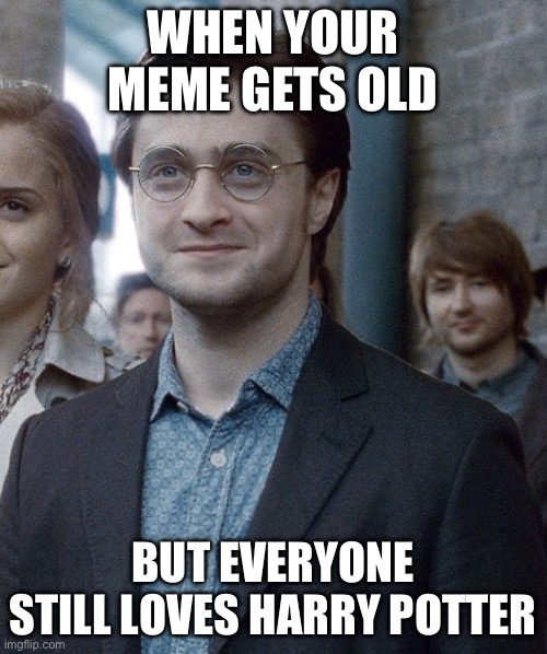 We love you Harry | WHEN YOUR MEME GETS OLD; BUT EVERYONE STILL LOVES HARRY POTTER | image tagged in harry potter 8 | made w/ Imgflip meme maker