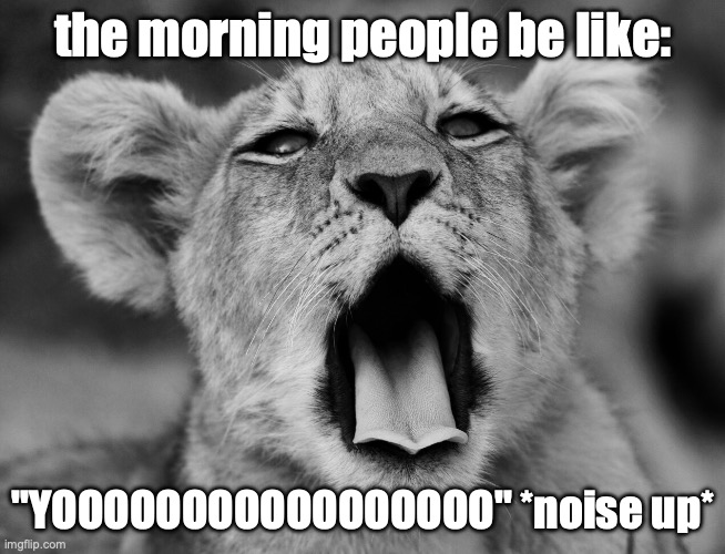 WAKE UP U NEED TO MAKE MONEY | the morning people be like: "YOOOOOOOOOOOOOOOOO" *noise up* | image tagged in wake up u need to make money | made w/ Imgflip meme maker