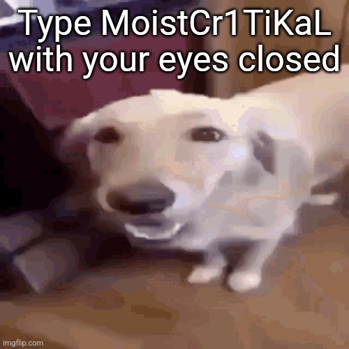 Butterdog | Type MoistCr1TiKaL with your eyes closed | image tagged in butterdog | made w/ Imgflip meme maker