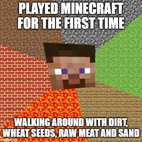 :P | PLAYED MINECRAFT FOR THE FIRST TIME; WALKING AROUND WITH DIRT, WHEAT SEEDS, RAW MEAT AND SAND | image tagged in minecraft steve | made w/ Imgflip meme maker