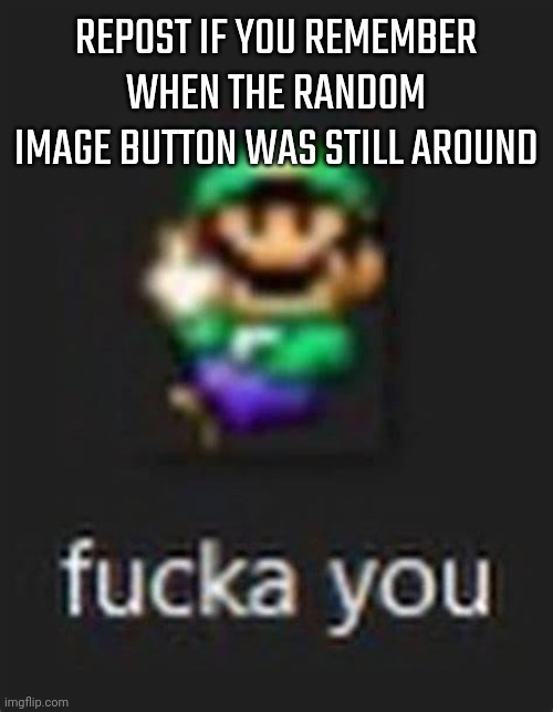 luigi faca you | REPOST IF YOU REMEMBER WHEN THE RANDOM IMAGE BUTTON WAS STILL AROUND | image tagged in luigi faca you | made w/ Imgflip meme maker
