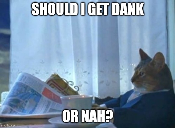 hmmmmmmmm????????????? | SHOULD I GET DANK; OR NAH? | image tagged in memes,i should buy a boat cat | made w/ Imgflip meme maker