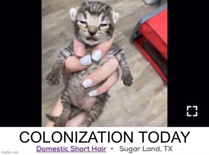 chair editable | COLONIZATION TODAY | image tagged in chair editable | made w/ Imgflip meme maker