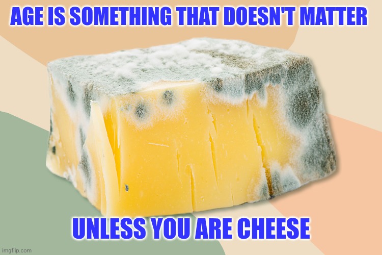 Age doesn't matter | AGE IS SOMETHING THAT DOESN'T MATTER; UNLESS YOU ARE CHEESE | image tagged in moldy cheese,funny memes | made w/ Imgflip meme maker