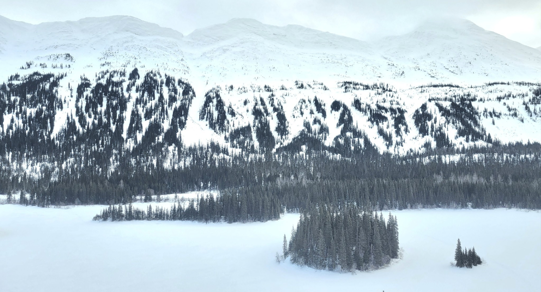 Azouzetta Lake & Rocky Mountains. British Columbia. Blank Meme Template