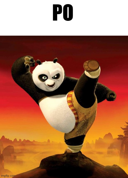 kung fu panda | PO | image tagged in kung fu panda | made w/ Imgflip meme maker