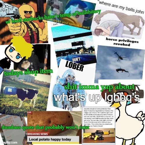 temp of bullshitery | what's up lgbbq's | image tagged in temp of bullshitery | made w/ Imgflip meme maker