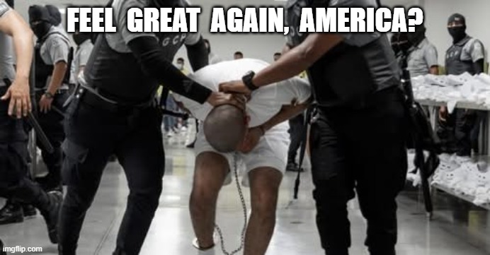 MAGA Values | FEEL  GREAT  AGAIN,  AMERICA? | image tagged in maga | made w/ Imgflip meme maker
