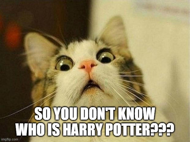 Scared Cat | SO YOU DON'T KNOW WHO IS HARRY POTTER??? | image tagged in memes,scared cat | made w/ Imgflip meme maker
