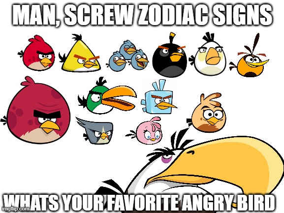 Blank White Template | MAN, SCREW ZODIAC SIGNS; WHATS YOUR FAVORITE ANGRY BIRD | image tagged in blank white template,angry birds,what | made w/ Imgflip meme maker