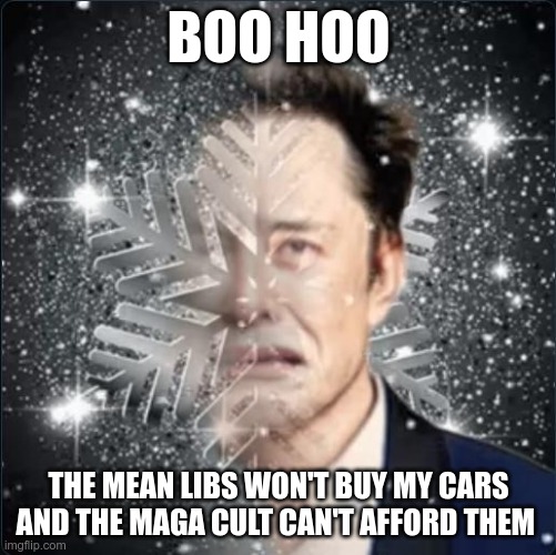 Boo Hoo | BOO HOO; THE MEAN LIBS WON'T BUY MY CARS AND THE MAGA CULT CAN'T AFFORD THEM | image tagged in musk,tesla,gop,maga,nazi,fascists | made w/ Imgflip meme maker
