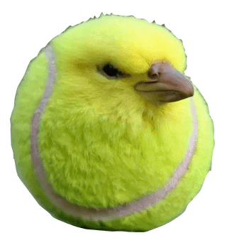 Tennis bird Meme Template