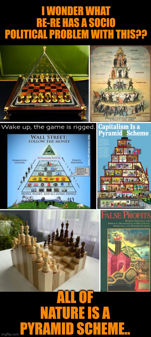 Funny | I WONDER WHAT RE-RE HAS A SOCIO POLITICAL PROBLEM WITH THIS?? ALL OF NATURE IS A PYRAMID SCHEME.. | image tagged in funny,political,social,nature,pyramid,who | made w/ Imgflip meme maker